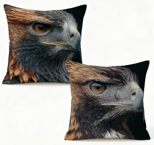 �N�b�V�����J�o�[ 55x55 cm 2�� �Z�b�g�N�b�V���� �F ���z�c�J�o�[ ���� 55 x 55 Cushion Covers �� ���O �h�� �ϖ� ���� HD���ʈ�� �B���t�@�X�i�[�t��, �ƒ� �I�t�B�X �֎q �ԓ� �x�b�h �t�ƉĂ̗����ɓK���Ă���