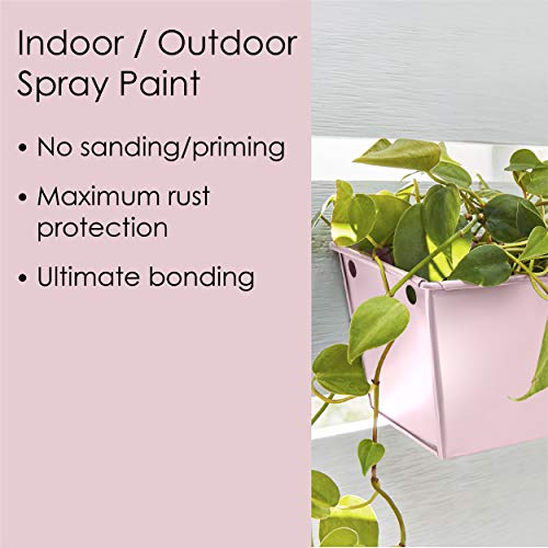 Image of Krylon Fusion All-In-One Adhesive Spray Paint for Indoor /Outdoor Use, 12 oz, Pink Blush