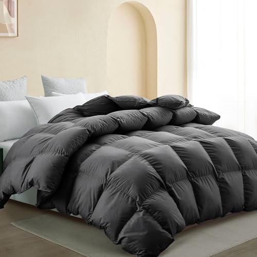 SNOWMAN Premium Down Comforter Queen Size, Luxurious Heavyweight Duvet Insert with Cotton Blended Fabric, 46oz Fill Weight 3D Baffle Box Design Medium Warm Hotel Bedding Comforter (Dark Grey,90"x90")