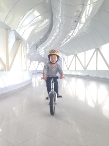 Image of Strider 12 Pro Bike, Silver - No Pedal Balance Bicycle for Kids 1 to 5 Years - Includes Safety Pad, Padded Seat, Mini Grips, Flat-Free Tires Easy Assembly Tool-Free Adjustments