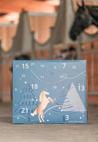 Winterhimmel Pferde-Adventskalender 2025 – Bild 2
