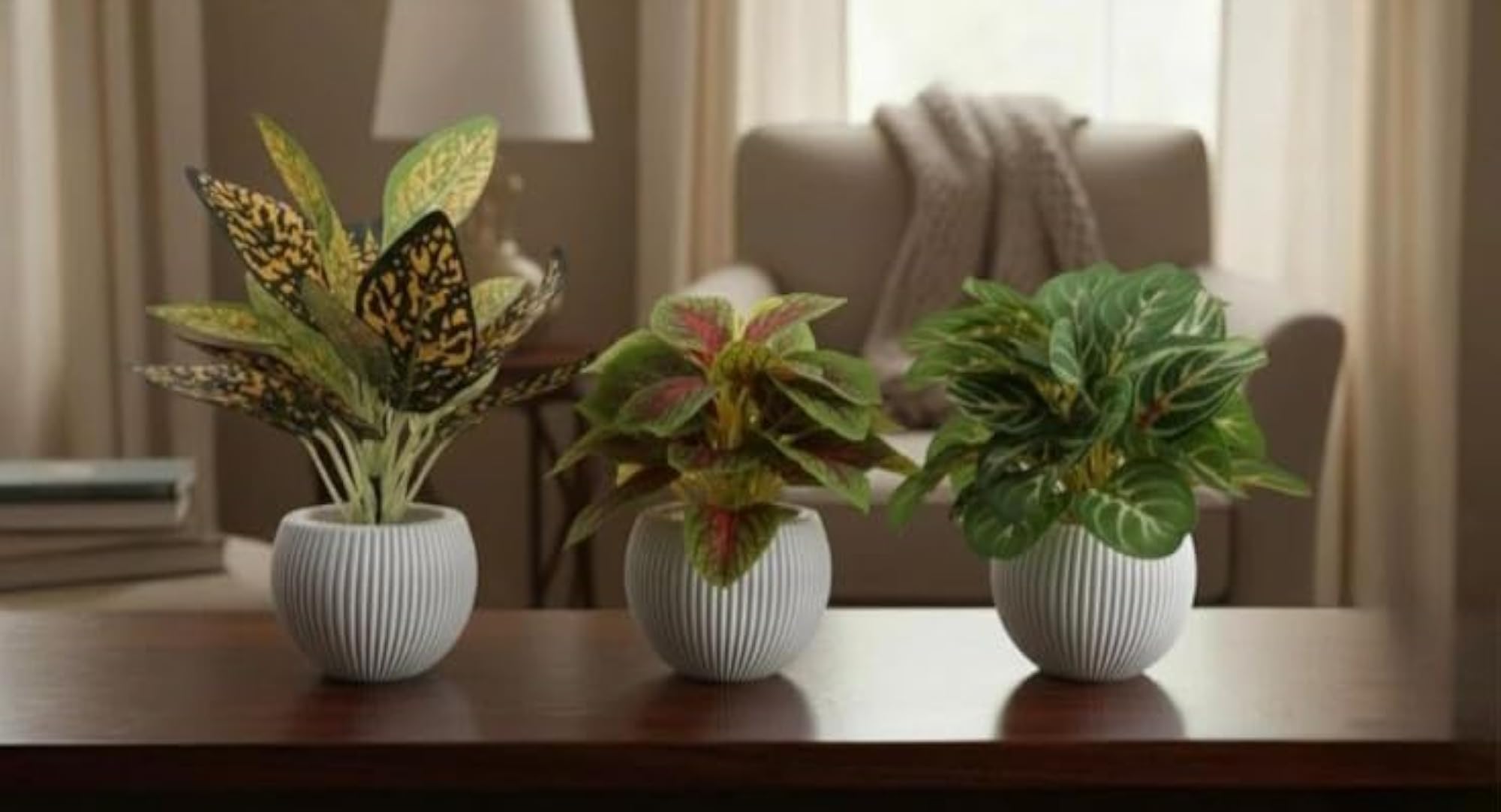 Artificial Potted Plants with Textured White Pots, Set of 3