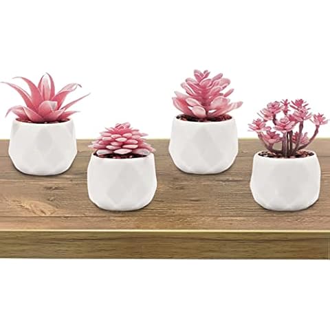 Bufccy Set mit 4 künstlichen Sukkulenten in Keramiktöpfen Cover