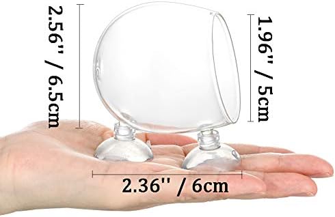 Glass Plant Pot Aquarium with Suction Cups, 6Pcs Aquarium Planter Holder Small Terrarium Mini Vase for Hydroponic Plant for Fish/Shrimp Feeding
