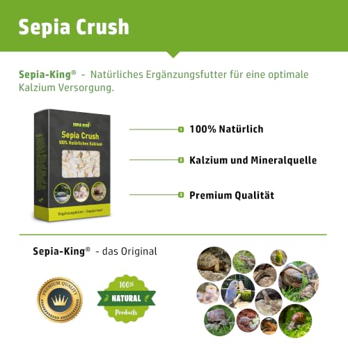 Sepia King - Sepiaschalen Bruch in Premium Qualität - Kalzium für Schildkröten, Bartagame, Geckos, Reptilien - Futterkalk, Kalk Terrarium Zubehör - Keine Reste oder Abfall