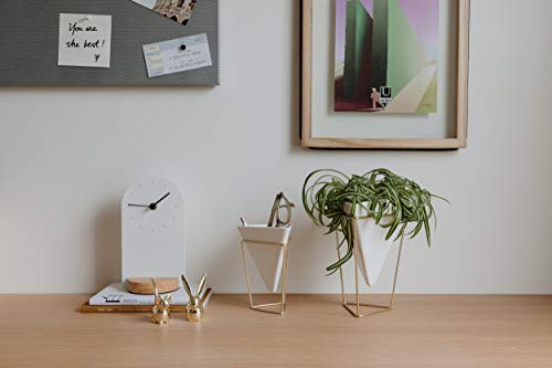 Umbra 1004372-524 Trigg Desktop Planter Vase & Geometric Container-For Succulent, Air, Mini Cactus, Faux Plants And More, Desk, White/Brass thumb #7