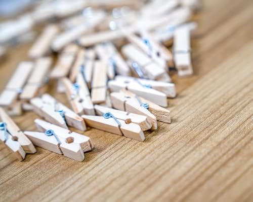 36 Wooden Pegs 7.2CM for Washing Line - Pack of 36 Hardwood Clothes Pegs with Steel Coil Springs for Hanging Clothes and Handicrafts - Clothing Pegs for DIY Crafts - Fits Any Clothesline