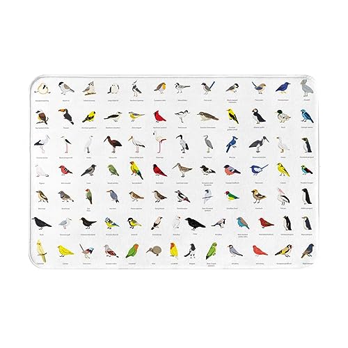 ���փ}�b�g�����ސ}�ӓ����S�ȃI�E���A�j�������}�b�g�z�������R�ۖh�L�o�X�}�b�g�z������~�ߖh�J�r�������L���o�X���[���L�b�`���l�G���p�J�[�y�b�g40×60cmf7n167