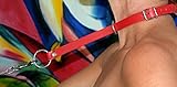 Terginum PREMIUM BDSM Halsband Halsfessel Würgehalsband Dressurhalsband Lederhalsband + Führkette Hundeleine mit drehbarem Karabiner Fesselset ROT Sklavenhalsband für Sexspiele