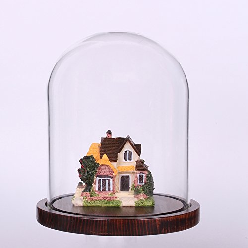 Moonlear Glass Cloche Bell Jar Display Dome With Wooden Base 5.9" X 7" (Coffee Wood Base) #TOP3