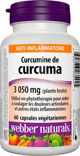 Webber Naturals Turmeric Curcumin, 95% Curcuminoids, 60 Capsules, Anti-Inflammatory Support, Vegan - 1