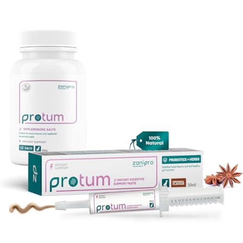 Dog Gut Health & Rehydration Bundle: Protum Probiotic Paste 30ml + Electrolyte Rehydration Salts 60g for Dogs – Fast Hydration, Digestive Support, Essential Minerals, Appetite & Recovery Care