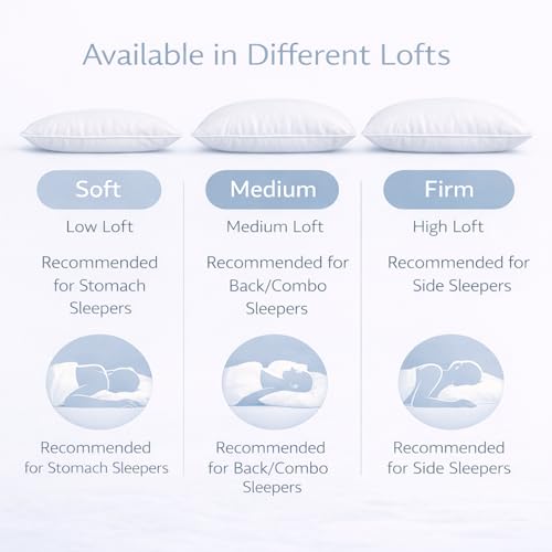 Continental Bedding Harmony White Goose Down Pillow 550 Fill Power Soft Loft 100% Cotton 300 Thread Count Shell Standard Size 1 Pack Made in USA