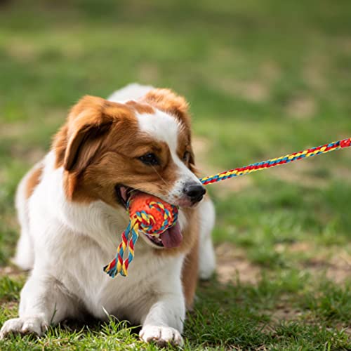 Brinquedos para Mastigar Cachorros | Brinquedos para cachorros grandes,Brinquedos para cachorro com