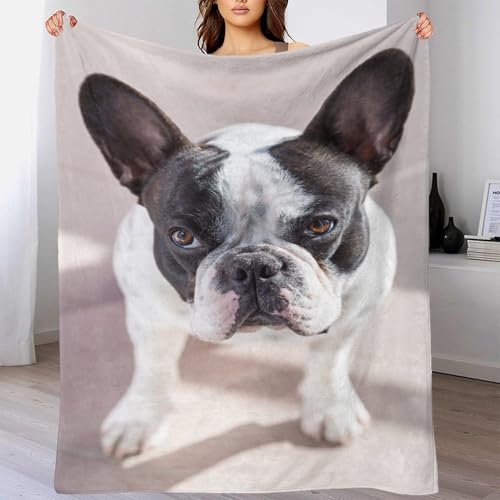 Couverture bouledogue français 3D infroissable, plaid compact en microfibre douce