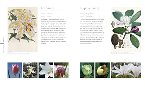 The Science of Plants: Inside Their Secret World