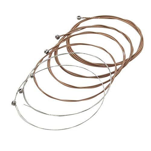 AR[XeBbNtH[NM^[XeX|RȀA6PCS /pbN AR[XeBbNM^[