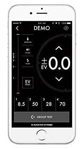 サンスターストロボ『MONOSTARC4#01103』