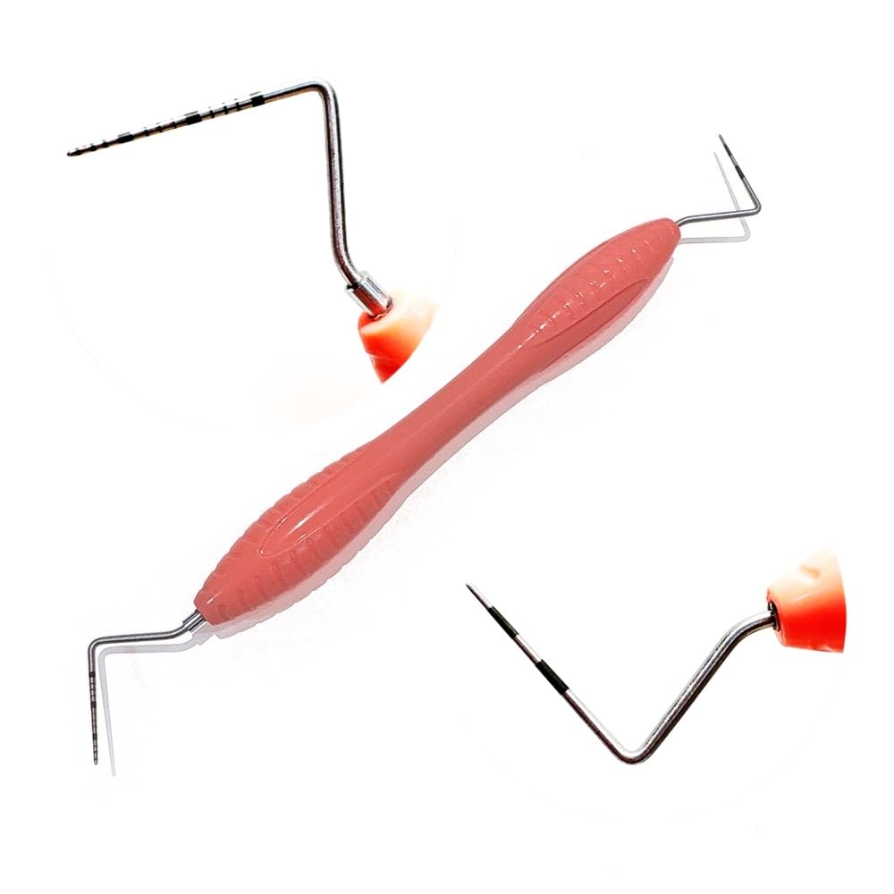 1 piece Dental Explorer Instrument Tool Dental Periodontal Probe with Scaler Dentist Endodontic Tool Stainless Steel CPI Probe (1 piece C)