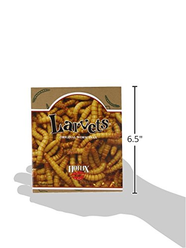 Larvets-Original Worm Snacks, Assortment (Pack Of 24) #TOP5