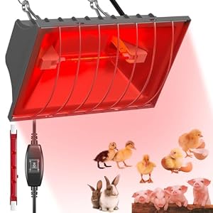 BIZOI Rotlichtlampe Wärmelampe für Küken, 250W Wärmestrahler mit Sparschalter, 2 Temperatureinstellungen, Heizlampe Hühnerstall, 1.8m Kabel, Wärmelampe Tiere für Hühner, Enten, Welpen, Vieh