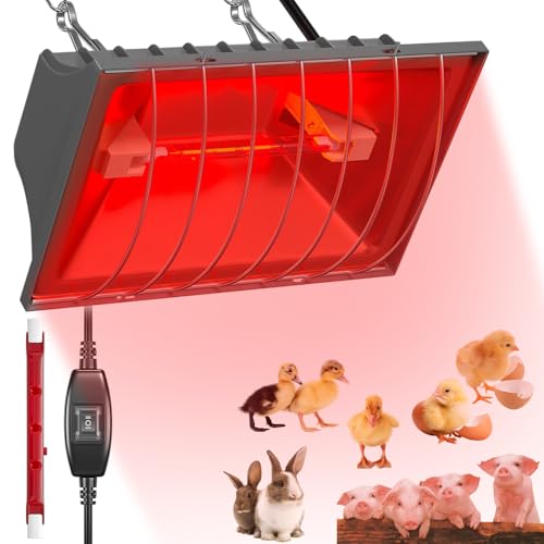 BIZOI Chauffage pour Poulailler, 250 W Lampe Chauffante Poussin, Lampe Chauffante pour Poulailler avec Chaîne de Suspension Réglable, Lampe Infrarouge Thermostatique Automatique pour Poulets Poussins