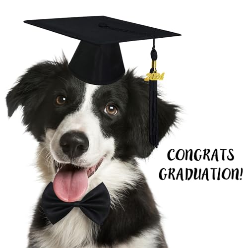 GOYOSWA Dog Graduation Cap and Bow Tie Collar, Dog Graduation Outfit Adjustable Dog Graduation Cap with Black Tassels 2024 Charm Formal Dog Bowtie for Dogs Pets (Graduation Cap & Bow Tie Collar)