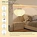 Paper Floor Lamp, Noguchi Style Paper Floor Lantern Lamp, Japanese Minimalist Akari Floor Lamp with 3-Color Temperature Standing Lamps Wabi Sabi Decor for Bedroom, Living Room(Bulb Included)