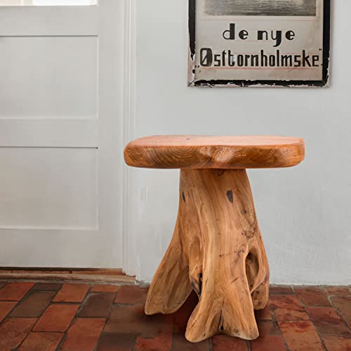Hoegmst Small Side Table, Unique Design Live Edge Wood Stool, Freeform Natural Plant Stand For Garden, Yard, Living Room, Bedroom #TOP6