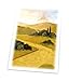 Ultimate Guard Magic The Gathering Sleeves Lands Edition Card Game (80 Pack), Plains, One Size