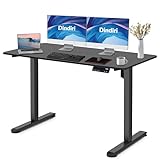 Dindiri 48 x 24 Height Adjustable Electric Standing Desk, Ergonomic Computer Desk with Memory, Sit Stand Home Office Desk, Black Frame/Rustic Brown Top