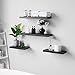 WELLAND Set of 2 Floating Shelves Wall Mounted Shelf, for Home Decor with 8