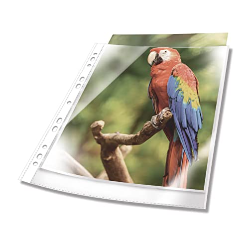 Durable Busta Perforata Premium Con Bordo Colorato A4 Extra Lucida In Ppl 25 Pezzi, Bianco, 265502