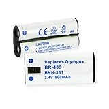 Olympus DS-4000 Replacement Digital Battery