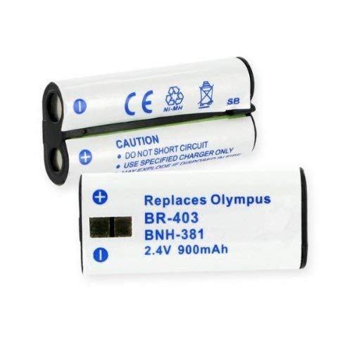 Olympus DS-4000 Replacement Digital Battery