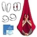 Aum Active Aerial Yoga Hammock - Include Aerial Silk Fabric, Carabiners, Extension Straps, 30-Day Pose Guide - Premium Yoga Swing for Antigravity Exercises, Inversion & Sensory Therapy (Burgundy)