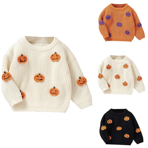 Toddler Kids Halloween Floral Sweater Cute Pumpkin Print Knitted Pullover Crew Neck Knitwear Outwear Fall Winter