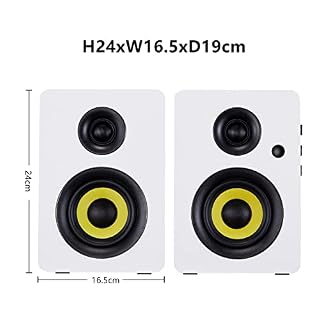 Sanyun SW206 Enceintes d'étagère Double Mode 80 W - Mode Moniteur et Mode HiFi - Haut-Parleur en Fibre de Carbone 4 Pouces - Tweeter à dôme en Film de Soie 25 cœurs - Blanc – Image 2