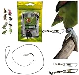 laccio A2 elastico CORDA 2MM x 1 METRO CON MOSCHETTONE 1MM DA INSERIRE AD ANELLO DELLA ZAMPA DEL TUO PAPPAGALLO per portarlo IN GIRO, IMBRACATUA ZAMPA, GUINZAGLIO PETTORINA pp