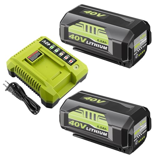 Sunmokite 2Pack 6.0Ah Battery and OP401 Charger Kit Replacement for Ryobi Compatible with Ryobi 40V Lithium ion Battery OP4026 OP40261 OP4050 OP4040 OP40401 OP40201 OP40601 and Cordless Power Tools