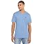 Sedona Blue Heather