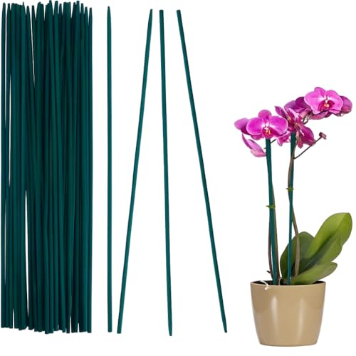 50 Tutores para Plantas 70 cm Ø 5,5-6 mm – Estacas de Bambú para Flores, Jardín, Macetas, Trepadoras, Enredaderas - Ideal Plantas Monstera, Orquidea y Otras Ornamentales - Color Verde