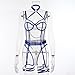 Women Fashion Print Mesh Lingerie Lace Lingerie Two Set Sexy Underwear womens sexy lingerie sets (Blue, M)