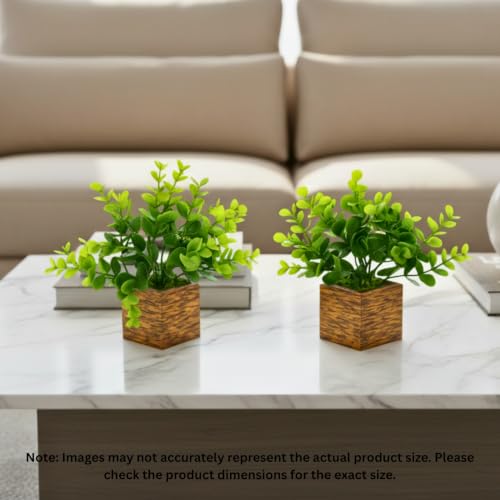 Image of DecoreBugs Artificial Eucalyptus Plant with Plastic Pot (Pack of 2) | 12 cm Height | Mini Potted Plants for Shelf Decor, Home, Office, Living Room, Desk & Table Item Decoration