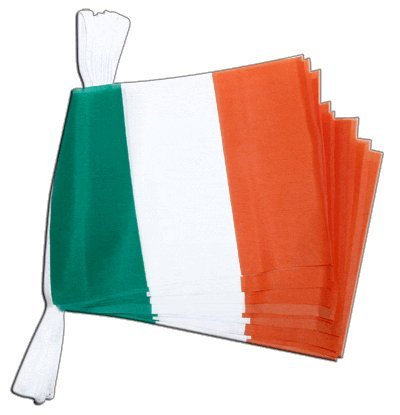 Guirlande drapeau Irlande Digni de 5,9 m pour decoration interieure et exterieure