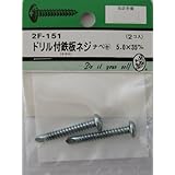 ビーバーハードウェア ドリル付鉄板木ネジ 十字穴付 ナベ頭 5.0×35mm 2本入り 2F151