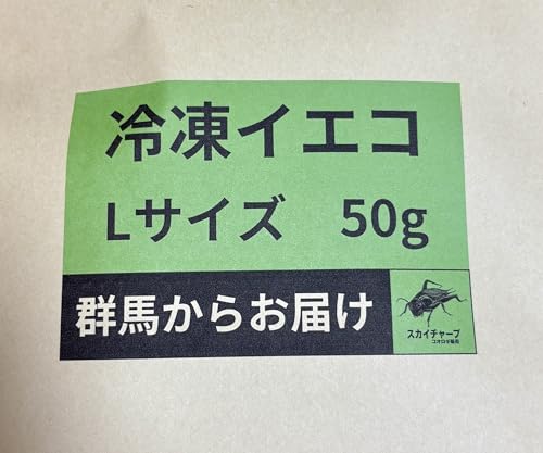 冷凍コオロギ Mサイズ 2kg 爬虫類 両生類 小動物 アロワナ フトアゴ等 Amazon | GokiBank 冷凍コオロギ 100g 爬虫類・両生類・肉食魚用