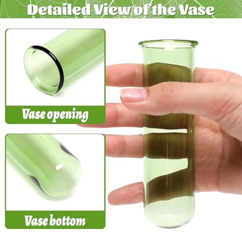 Glass Plant Propagation Station with 5 Test Tubes Colorful Planter Vase by YYHglass - Image 3