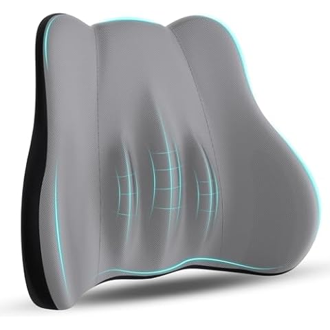 kasney Lumbar Support Pillow, Memory Foam Lumbar Pillow for Lower Back Pain Relief, Back Support Pillow for Office Chair, Car Seat - Gray Cover