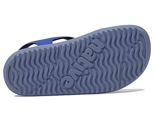 Native Shoes Charley Sugarlite Block (Little Kid) Uv Freesia/Resting Blue/Alaska Blue 1 Little Kid M #TOP2